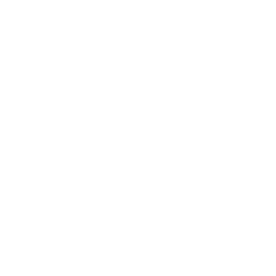 PAIN2020 Logo